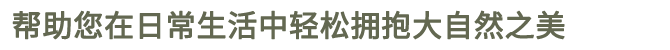 浙江集雅亘工艺品