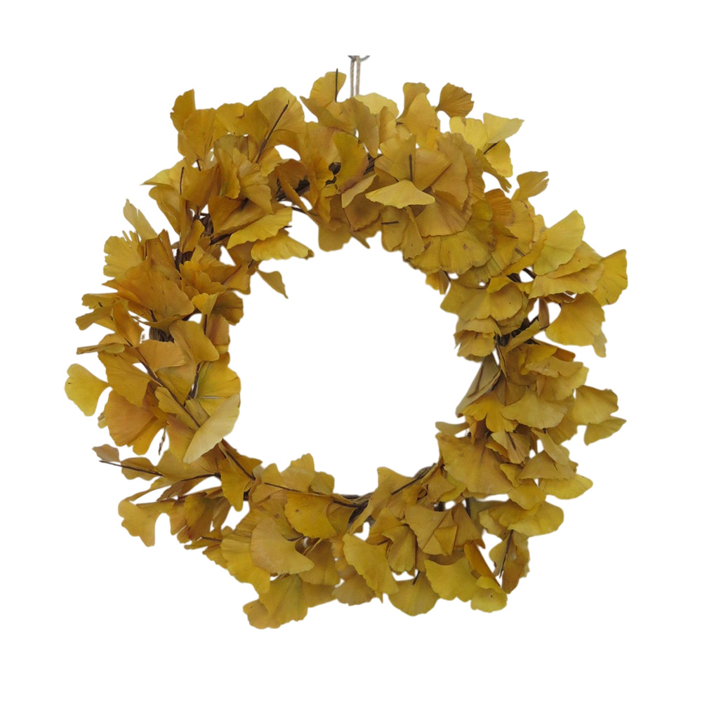 Preserved Ginkgo Leaf Wreath