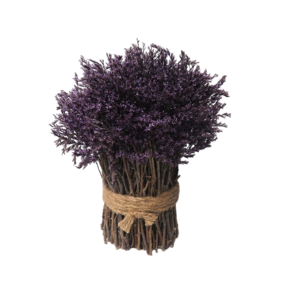 Purple Caspia Bundle