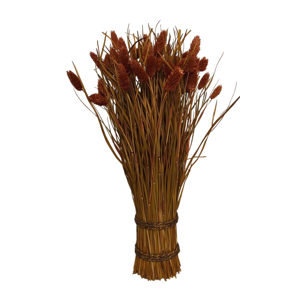 Orange Canary Grass Bundle